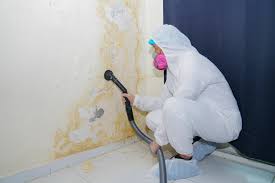 Best HVAC Mold Inspection and Cleaning  in USA